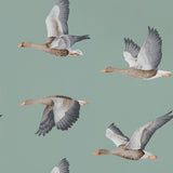 Elysian Geese - 216610
