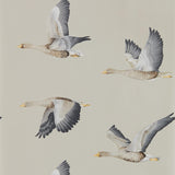 Elysian Geese - 216611