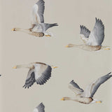 Elysian Geese - 216611