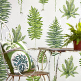 Fernery - 216633