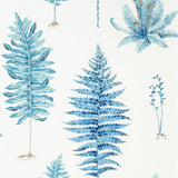 Fernery - 216635