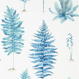 Fernery - 216635