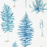 Fernery - 216635