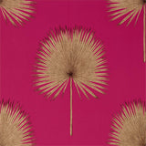 Fan Palm - 216638