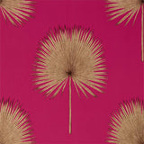 Fan Palm - 216638