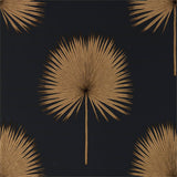 Fan Palm - 216639