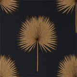 Fan Palm - 216639