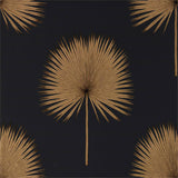 Fan Palm - 216639
