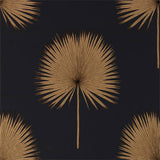 Fan Palm - 216639
