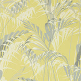 Palm House - 216642