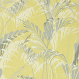 Palm House - 216642