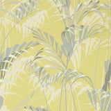 Palm House - 216642