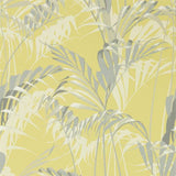 Palm House - 216642