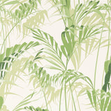 Palm House - 216643