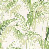 Palm House - 216643