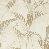 Palm House - 216644