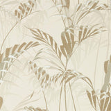 Palm House - 216644