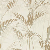 Palm House - 216644