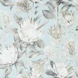 King Protea - 216645