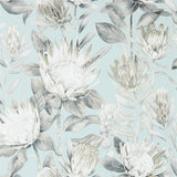 King Protea - 216645