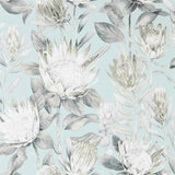 King Protea - 216645
