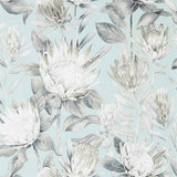 King Protea - 216645