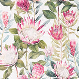 King Protea - 216646