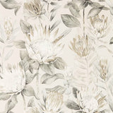 King Protea - 216647