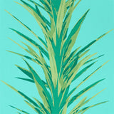 Yucca - 216648