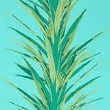 Yucca - 216648