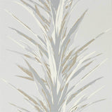Yucca - 216650