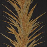 Yucca - 216651