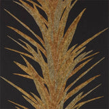 Yucca - 216651