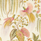 Bird of Paradise - 216653