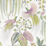Bird of Paradise - 216654
