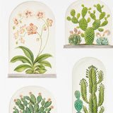 Terrariums - 216655
