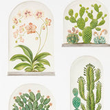 Terrariums - 216655