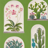 Terrariums - 216656