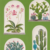 Terrariums - 216656