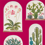 Terrariums - 216657