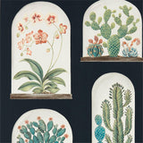 Terrariums - 216658