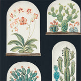 Terrariums - 216658