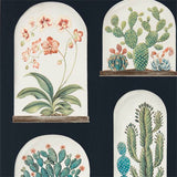 Terrariums - 216658