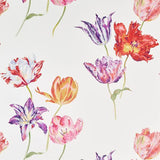 Tulipomania - 216666