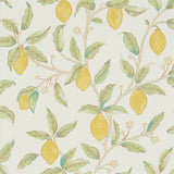 Lemon Tree - 216672