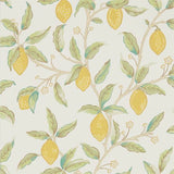 Lemon Tree - 216672