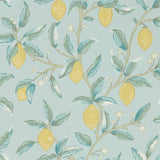 Lemon Tree - 216674