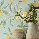 Lemon Tree - 216674