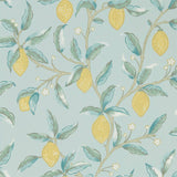 Lemon Tree - 216674