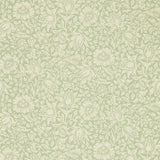 Mallow - 216678